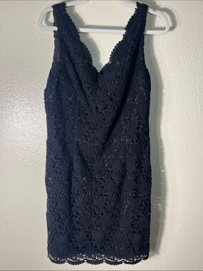 Ann Taylor Sleeveless black Lace V-Neck Sheath Dress size 10